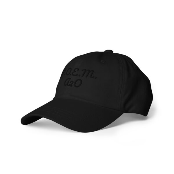 P.O.E.M. Dad Hat - Image 4