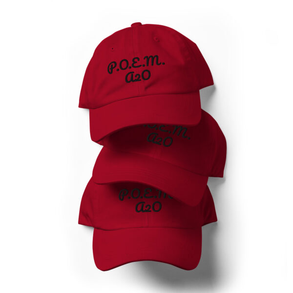 P.O.E.M. Dad Hat - Image 12