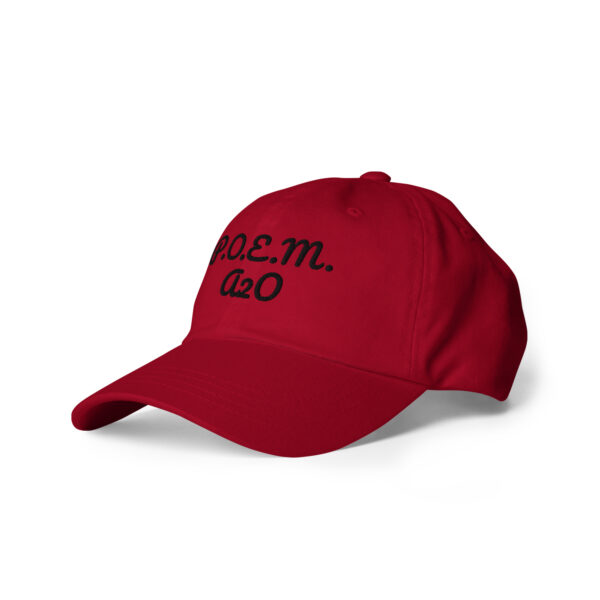 P.O.E.M. Dad Hat - Image 14