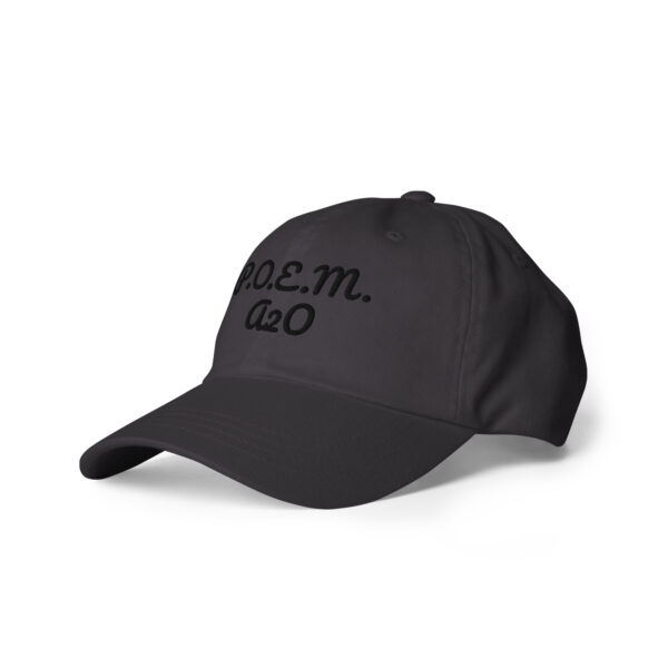 P.O.E.M. Dad Hat - Image 19
